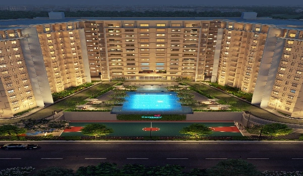 Featured Image of Century Novus