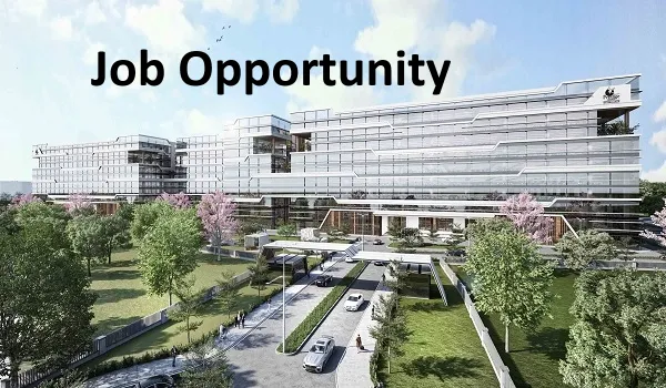 Featured Image of Better Job opportunities