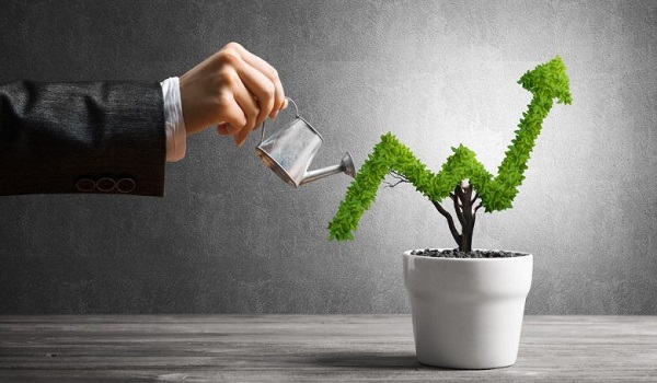 Featured Image of Century Mirai Promising returns